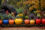 Garden Decorating Ideas for the Autumn Season main