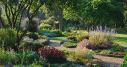 gardens in essex
