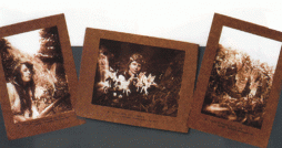 cottingley fairies pictures