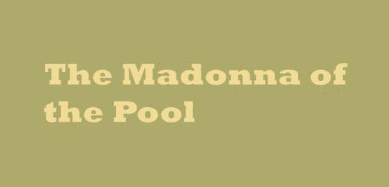 madonna of the pool helen stancey book review