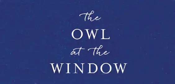 the owl at the window book review carl gorham