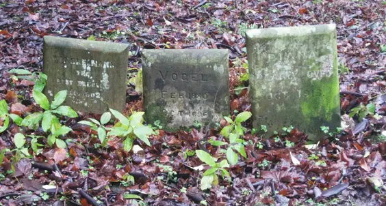 A group of tiny headstones in the pet cemetery in the grounds of Swinton Castle