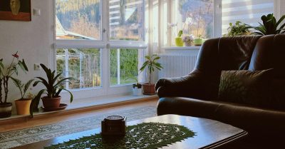 5 Must-Have Home Essentials for a Relaxing Night In (2)