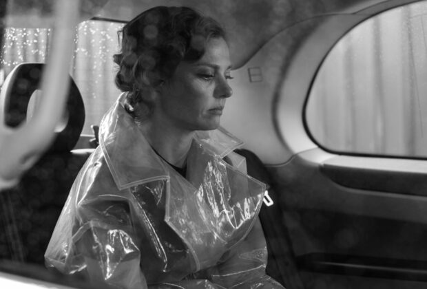 A Bird Flew In 2021 Film Review main