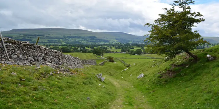 A Circular Walk from Aysgarth Falls, Wensleydale main