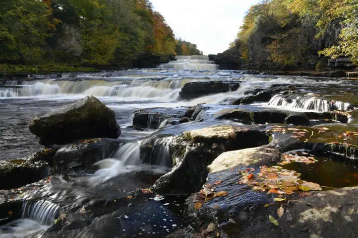 A Circular Walk from Aysgarth Falls, Wensleydale river