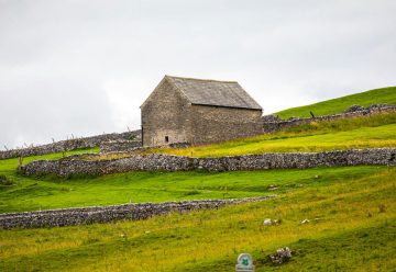 A Complete Guide to A Day of Wellness in the Dales Finding Peace in the Heart of Yorkshire (2)