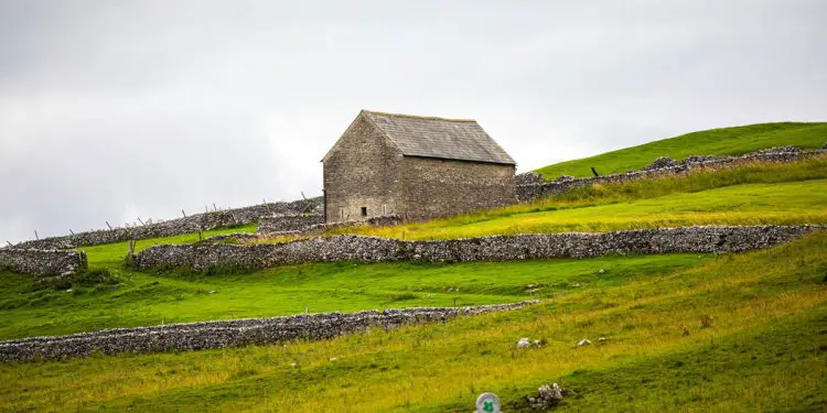 A Complete Guide to A Day of Wellness in the Dales Finding Peace in the Heart of Yorkshire (2)