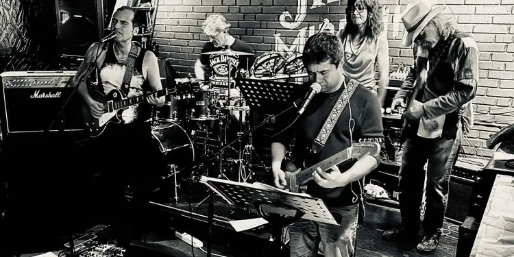 A Q&A With Monkey Intrusion