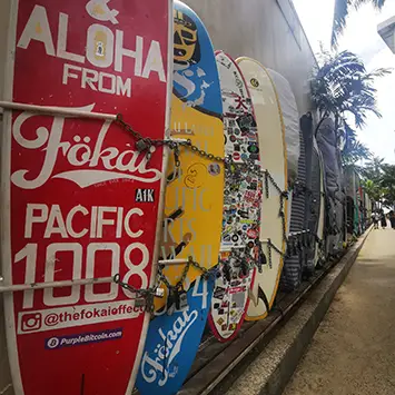 A Voyage Around Hawaii