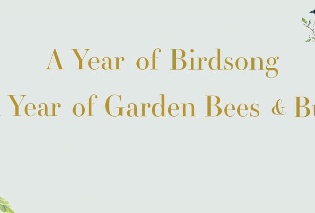 A Year of Birdsong & A Year of Garden Bees and Bugs by Dominic Couzens and Gail Ashton Review (1)