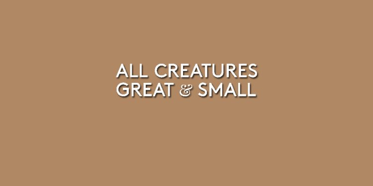 All Creatures Great and Small Series 3 DVD Review logo