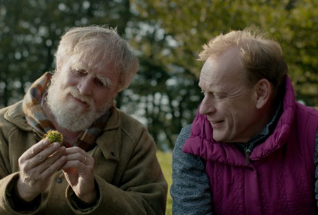 And Then Come The Nightjars (2023) - Film Review