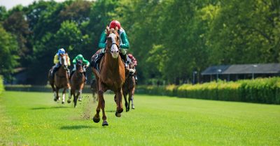 Assessing the Irish-Trained Movers in the Cheltenham Festival Ante-Post Markets (1)