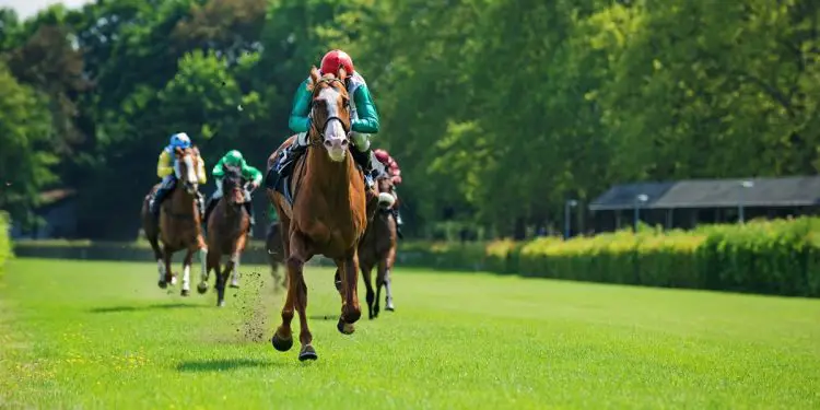 Assessing the Irish-Trained Movers in the Cheltenham Festival Ante-Post Markets (1)