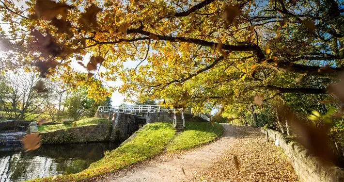 Autumn Yorkshire Canals