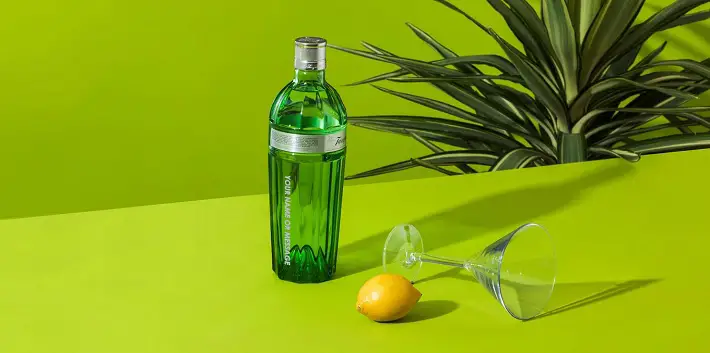 Best Alcohol Bottle Gift Ideas in 2021 gin