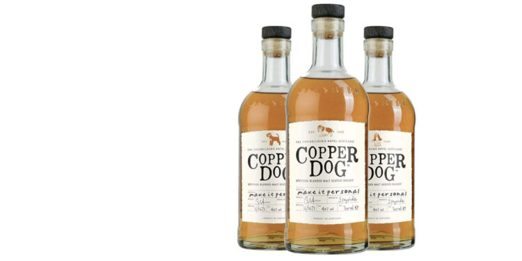 Best Alcohol Bottle Gift Ideas in 2021 main
