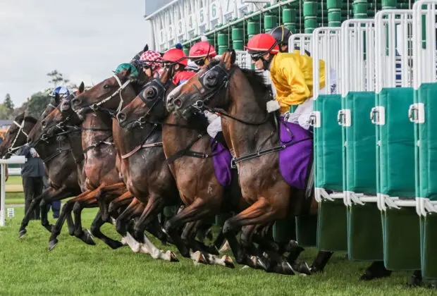 Best Horse Racing Courses In Yorkshire main
