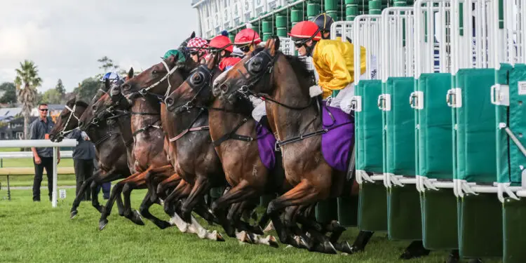 Best Horse Racing Courses In Yorkshire main