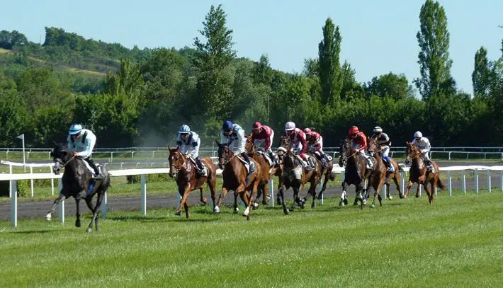 Betting Strategies that Every Gambler Needs to Know horses