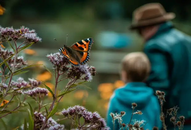 Big Butterfly Count 2025 Help Save Yorkshire’s Butterflies with Just 15 Minutes Outdoors (1)