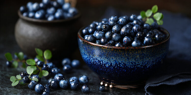 Bilberry or Blueberry, Which One Is Better for Your Eyes (2)