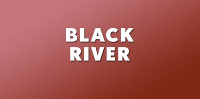 Black River by Nilanjana Roy – Review logo