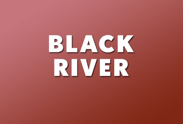 Black River by Nilanjana Roy – Review logo