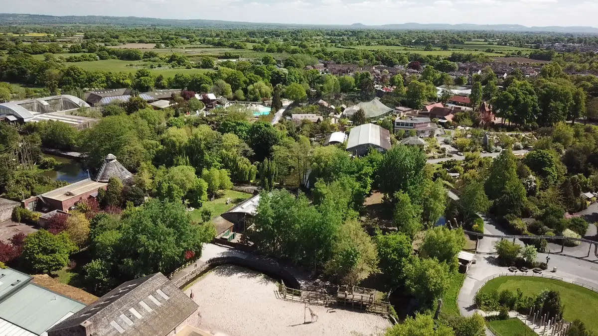 Blackpool & Chester Zoo via Coach with Caledonian Travel – Review chester zoo