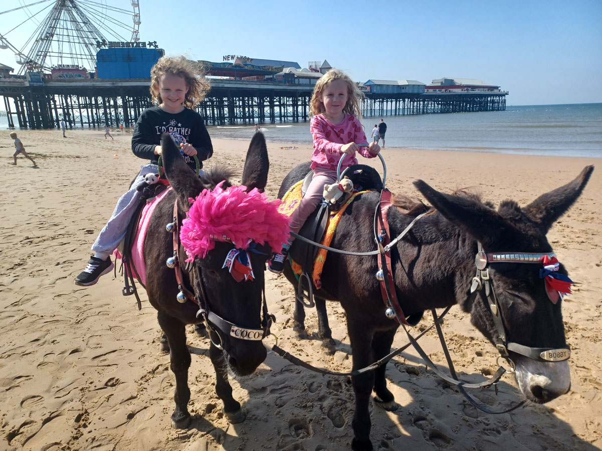 Blackpool & Chester Zoo via Coach with Caledonian Travel – Review donkeys