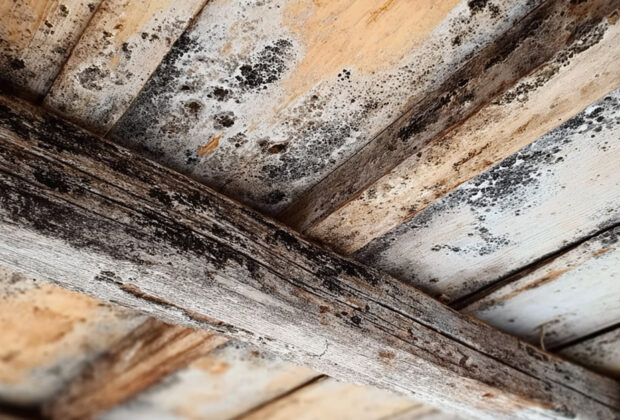 Breathe Easy A Practical Guide to Improving Your Home's Ventilation (1)