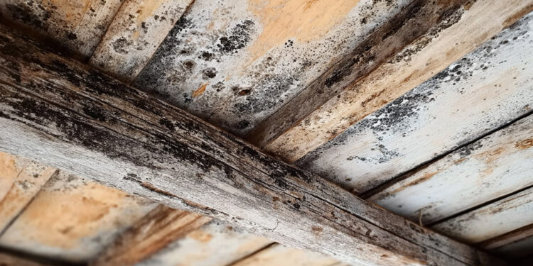 Breathe Easy A Practical Guide to Improving Your Home's Ventilation (1)