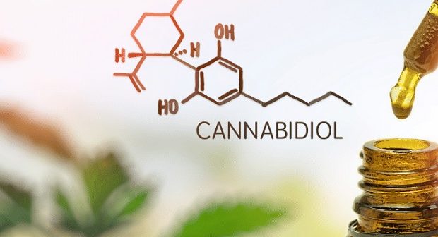 CBD This is the Situation in Europe and Ireland main