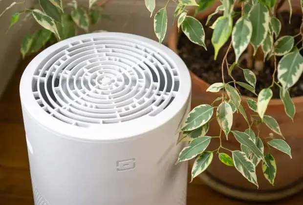 Can Air Purifiers Reduce COPD Symptoms