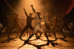 Cats – Review – Hull New Theatre (2)