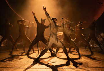 Cats – Review – Hull New Theatre (2)