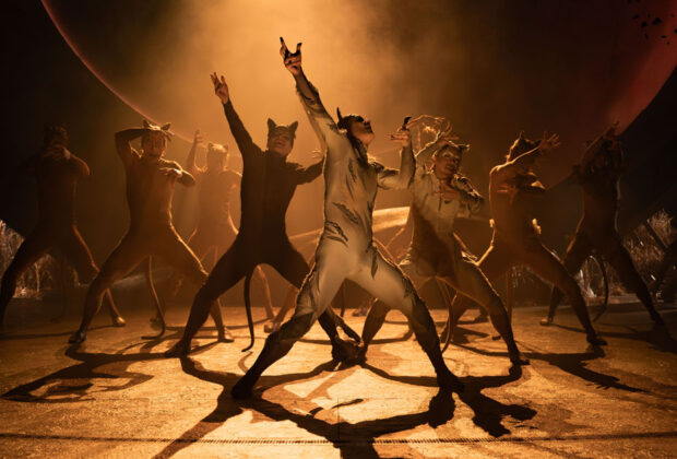 Cats – Review – Hull New Theatre (2)