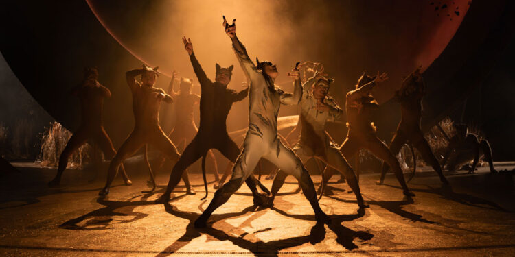 Cats – Review – Hull New Theatre (2)