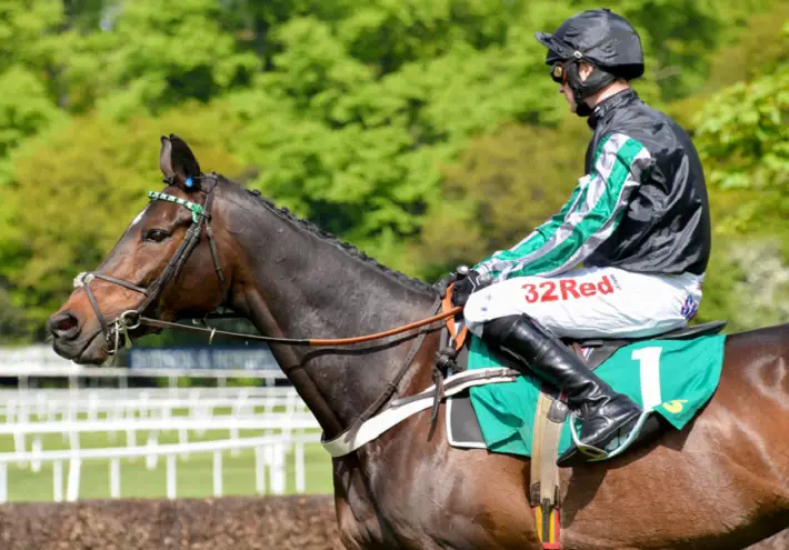 Cheltenham 2020 Two Legendary Horses Sprinkle Stardust on UK Festival jockey