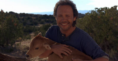 City Slickers Film Review