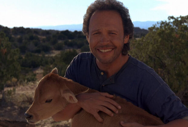 City Slickers Film Review