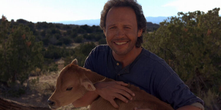City Slickers Film Review