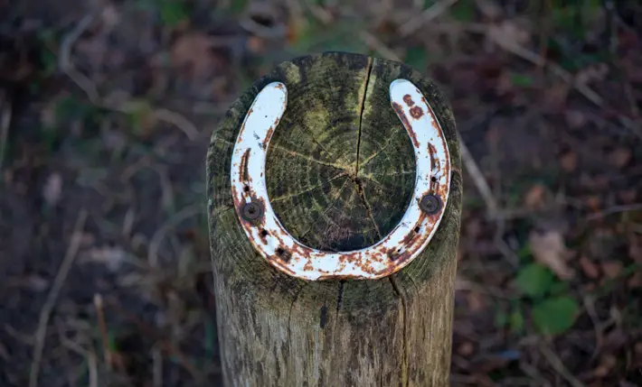 Common Superstitions in Everyday Life horseshoe