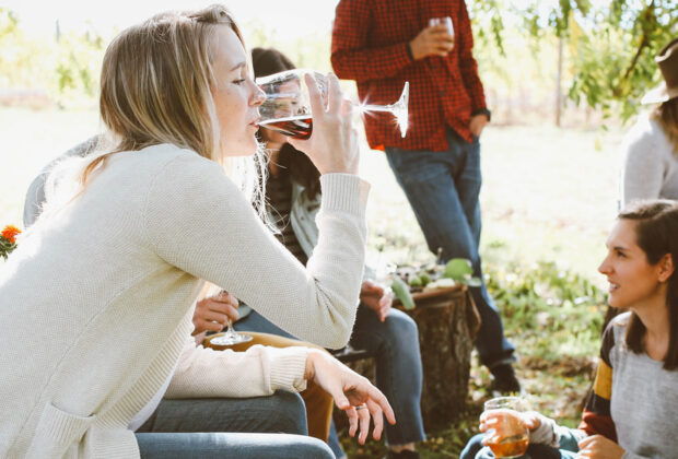 Creating The Perfect Social Space In Your Garden main
