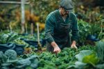 Creating the Perfect Veg Patch What you Should Plant for your Physical and Mental Health (1)