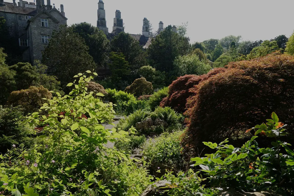 Cumbria's Cultural Corners – Travel Review sizergh castle