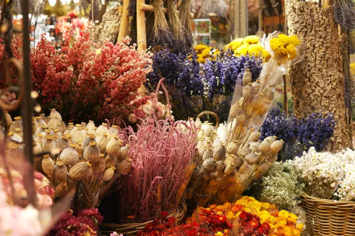 Decorating dried flowers in your interior buy