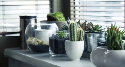 Decorating dried flowers in your interior main