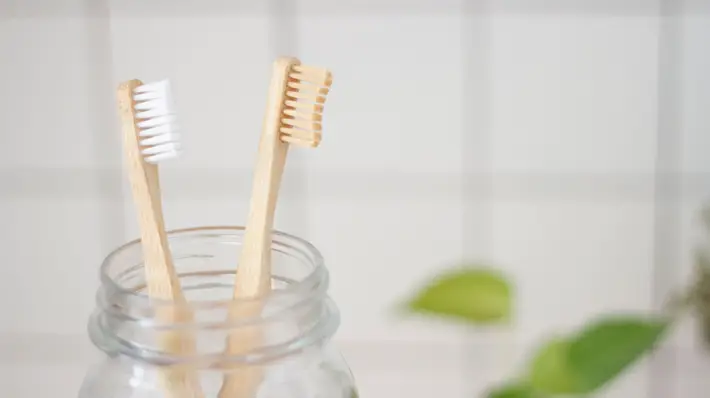 Dental Health During Pregnancy brush
